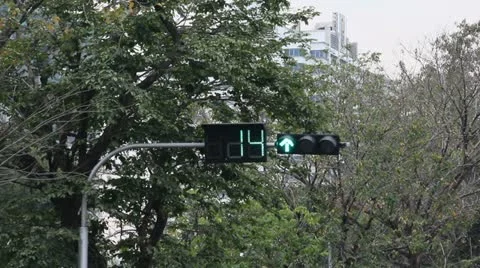 The different traffic light changes from green to red Stock Footage 10812182