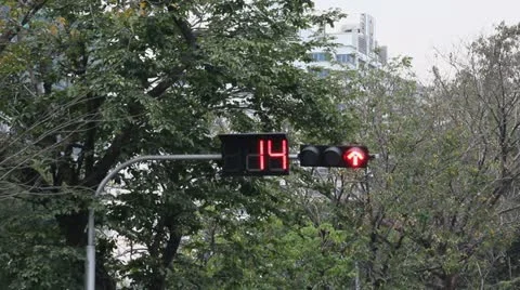 The different traffic light changes from red to green Stock Footage 10812184