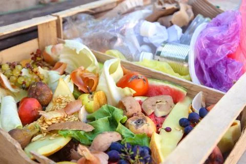 Different trash. Garbage sorting: iron, paper, plastic, domestic waste for co Stock Photos