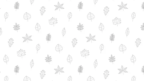 Different tree leaves black thin line icons on a white background. Seamless loop Stock Footage 159020618