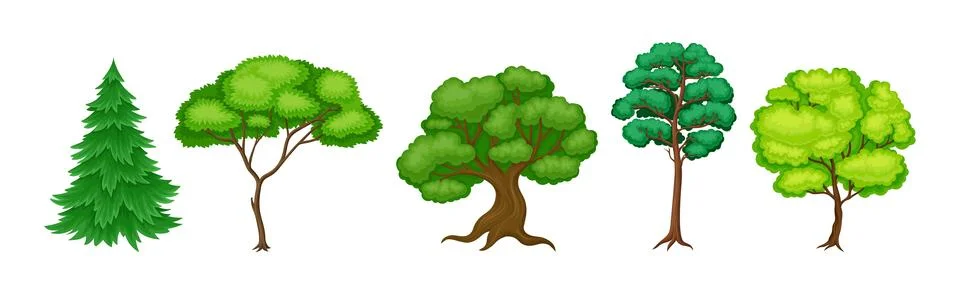 Different Tree with Trunk and Green Crown Vector Set Stock Illustration