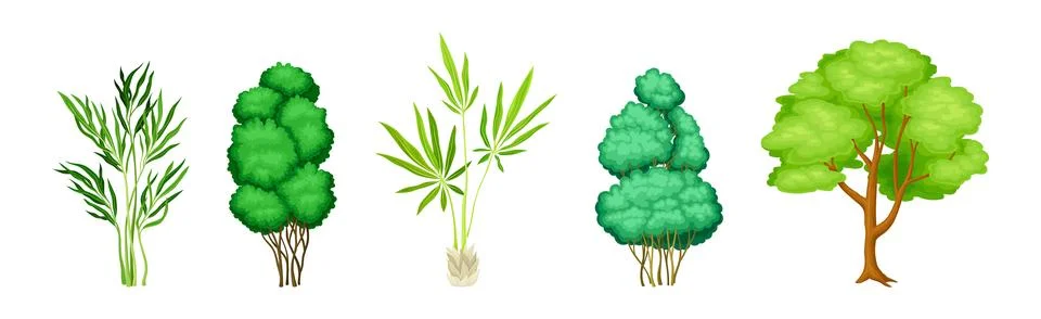 Different Tree with Trunk and Green Crown Vector Set Stock Illustration