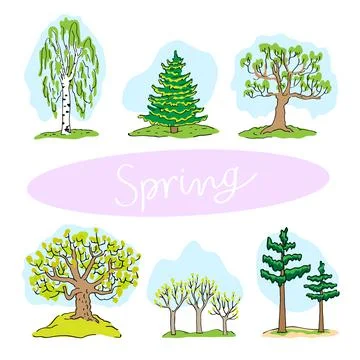 Different trees and spring season in a forest Illustrazione stock