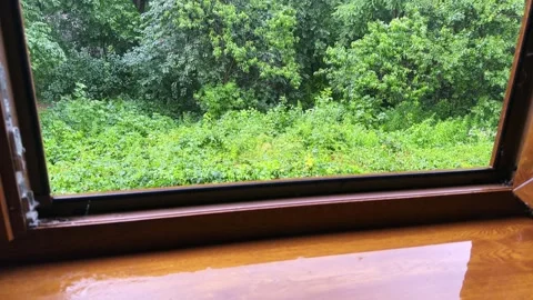 Different trees during rainfall in park, view through open window Stock Footage 339793957