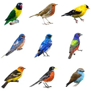 Different Type of Birds Stock Illustration