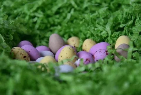Different type of chocolate eggs and bunnies Stock Photos
