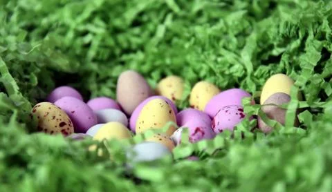 Different type of chocolate eggs and bunnies Stock Photos