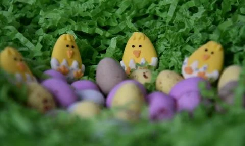 Different type of chocolate eggs and bunnies Stock Photos