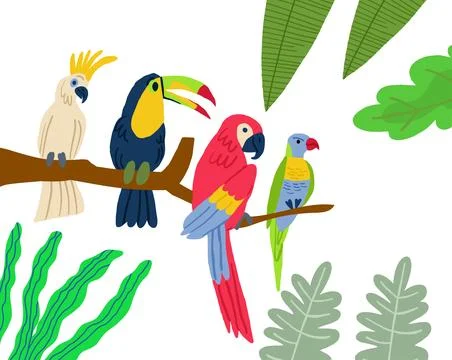 Different type of exotic birds. Vector flat cartoon graphic design illustration Stock Illustration