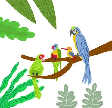 Different type of exotic birds. Vector flat cartoon graphic design illustration Illustrazione stock