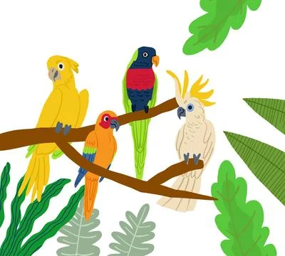 Different type of exotic birds. Vector flat cartoon graphic design illustration Stock Illustration