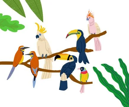 Different type of exotic birds. Vector flat cartoon graphic design illustration Stock Illustration
