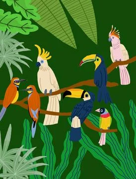 Different type of exotic birds. Vector flat cartoon graphic design illustration Stockillustratie
