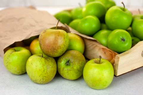 Different types of apples on a market table. Fresh harvest of red and green Stock Photos