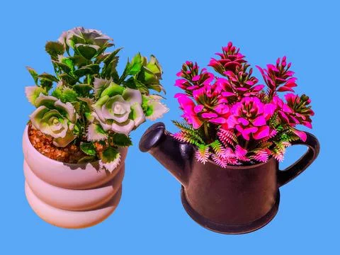 Different types of artificial flower trees isolated on blue background Stock Photos