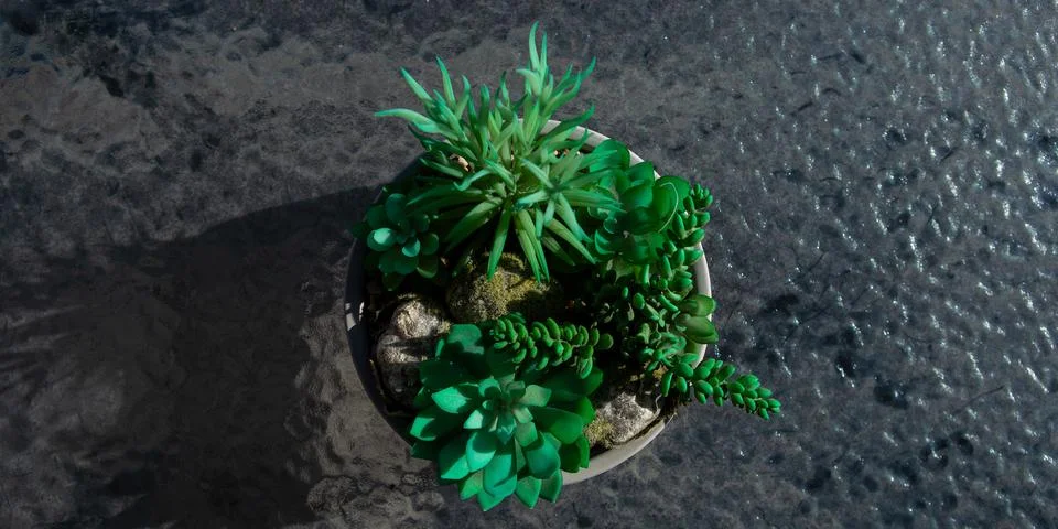 Different types of artificial plants arranged in a round pot on a textured .. Stock Photos