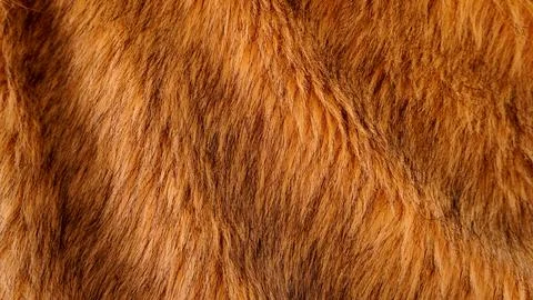 Different types of background images Stock Photos