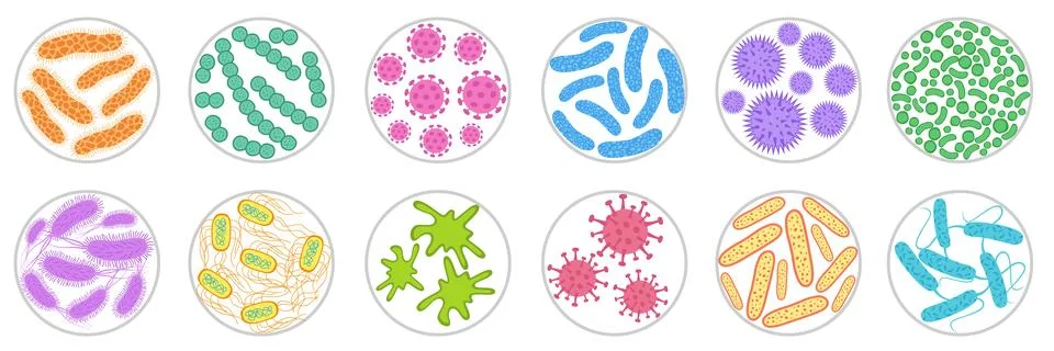 Different types of bacteria, germ and virus. Stock Illustration