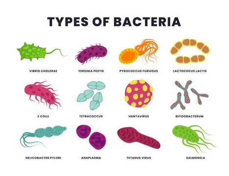 Different types of bacteria set collection, Bacteria and virus microbes ico.. Illustrazione stock