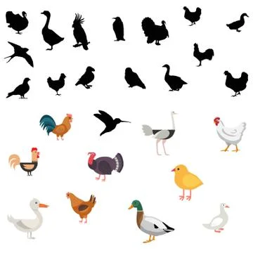 Different types of birds drawn Stock Illustration
