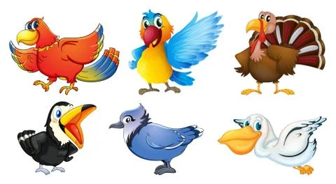 Different types of birds Stock Illustration