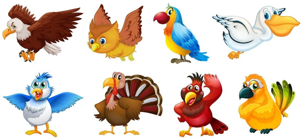 Different types of birds Illustrazione stock