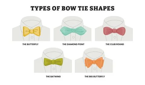 Different types of bow tie shapes types, educational guide poster design fa.. Stock Illustration