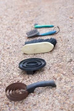 Different types of brush for grooming horses. animal equestrian hair clean care Stock Photos