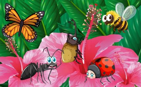 Different types of bugs in garden Stock Illustration