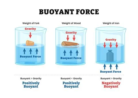 Different types of Buoyant Force Infographic diagram, physics science educa.. Stock Illustration