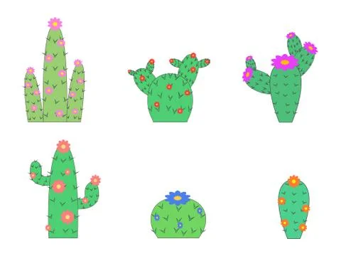 Different types of cactus Illustrazione stock