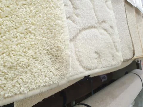 Different types of carpet on the shop stand. White carpet samples closeup. Stock Photos