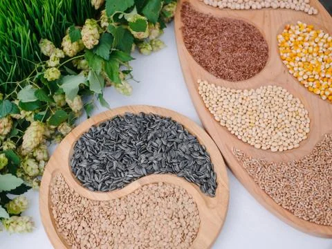 Different types of cereals and legumes. Grains close-up in creative plates Stock Photos