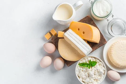 Different types of cheese, cottage cheese, sour cream and eggs on a gray Stock Photos