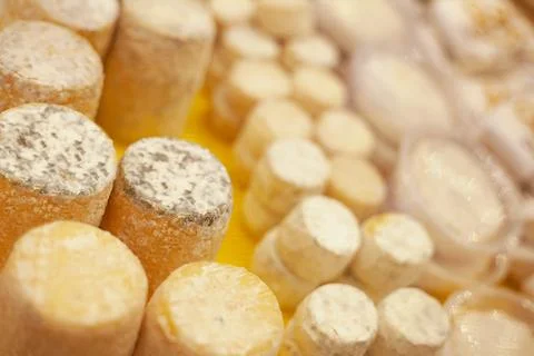 Different types of cheese for the festive New Year's table Stock Photos