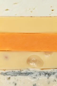 Different types of cheese Foto stock
