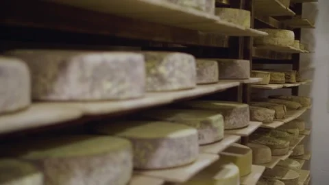 Different Types of Cheese in the Stock Video stock 308148946
