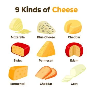 Different types of Cheese types. Kind of cheese collection, Healthy food. L.. Stock Illustration