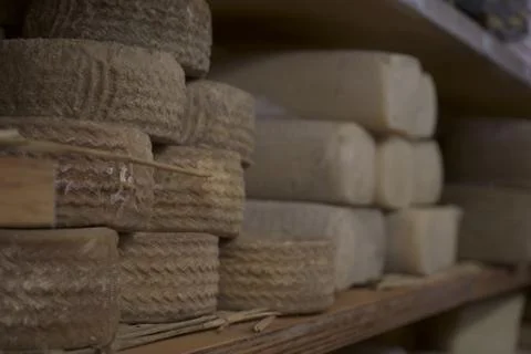 Different types of cheeses Stock Photos