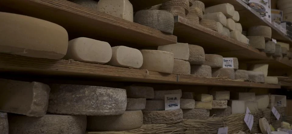 Different types of cheeses Stock Photos