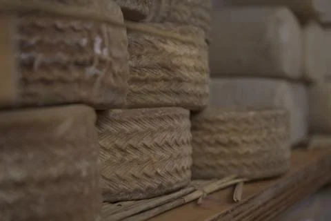 Different types of cheeses Stock Photos