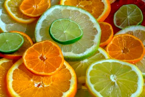 Different types of citrus, cut into circles. Stock Photos
