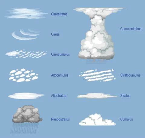The different types of clouds with names Illustrazione stock