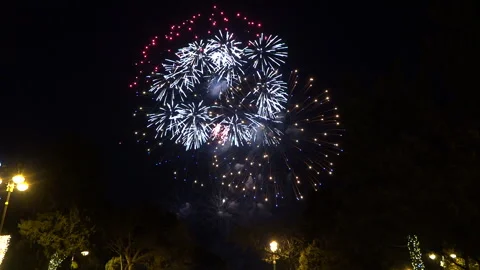 Different types of colorful fireworks Stock Footage 260412136