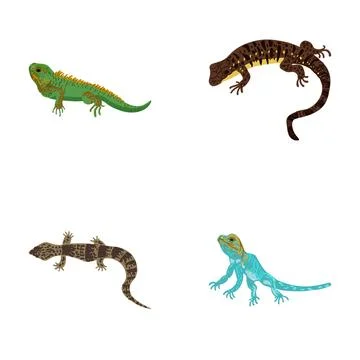 Different types of colorful lizards and amphibians set Stock Illustration
