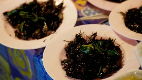 Different types of Cooked insects on a plate at night food market. Asia Stock Footage 86092051