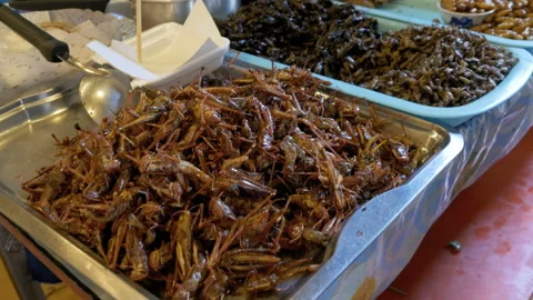 Different types of Cooked insects on a plate at food market. Asia, Thailand Stock Footage 87200774