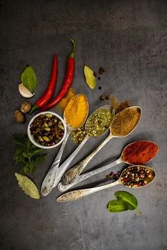 Different types of culinary spices on a gray surface in old metal spoons Stock Photos