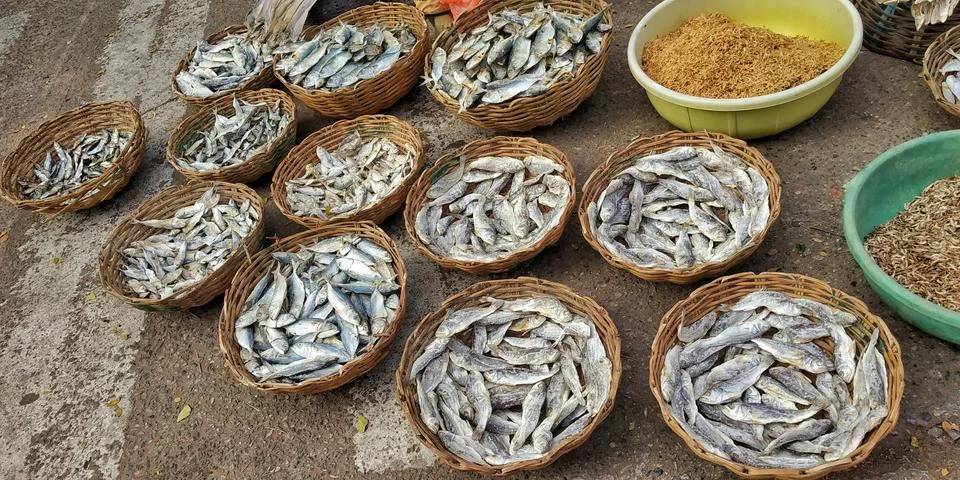 Different Types of Dry fish. Stock Photos