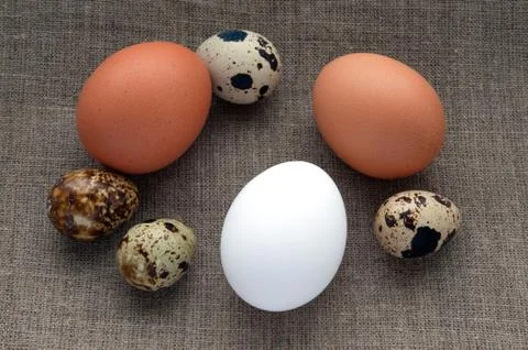 Different types of eggs on hessian linen fabric cloth texture background Foto stock